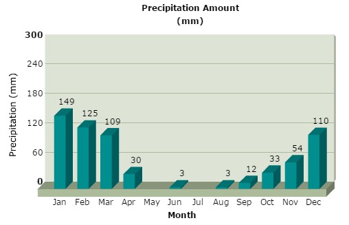 Best Time To Hike Machu Picchu Rain