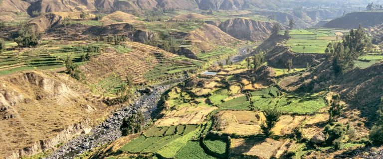 Colca Canyon