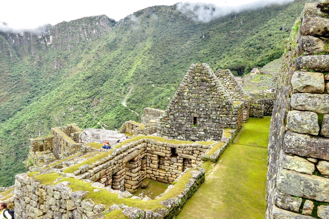 Machu Picchu View