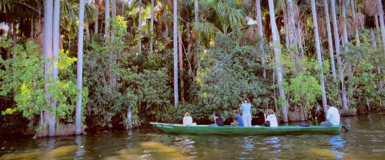 Tambopata Misterious Sandoval Lake