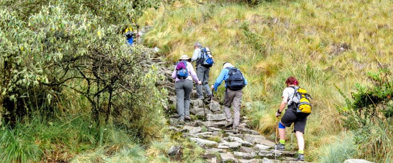 Teens On The Trail