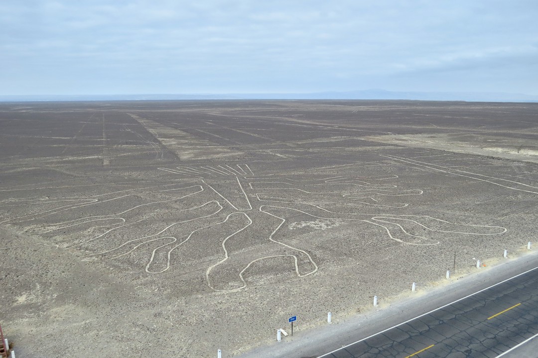 The Nazca Lines