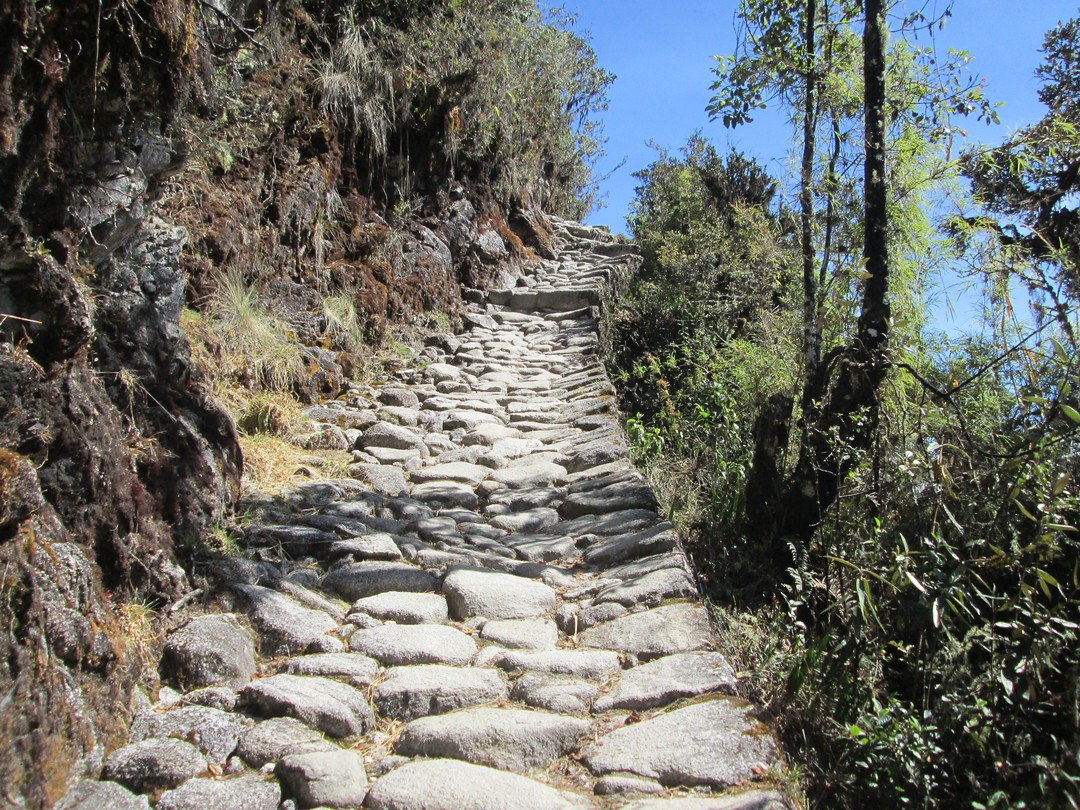 Training For Machu Picchu