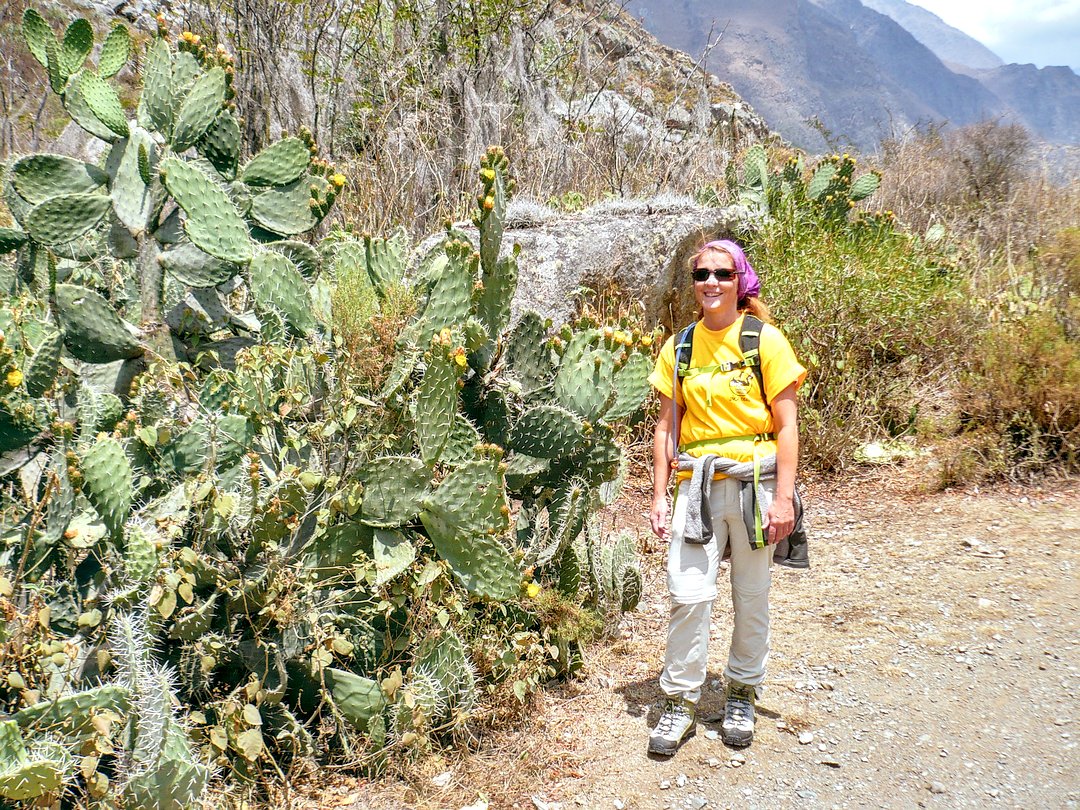 Inca Trail Private Service
