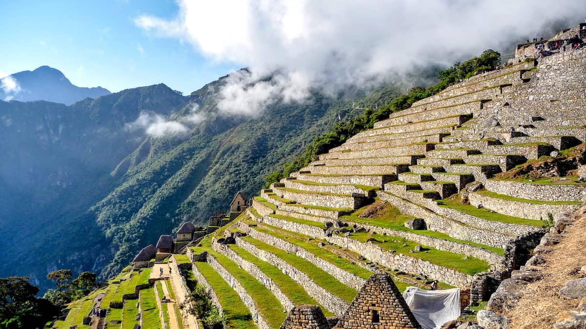 Machu Picchu View