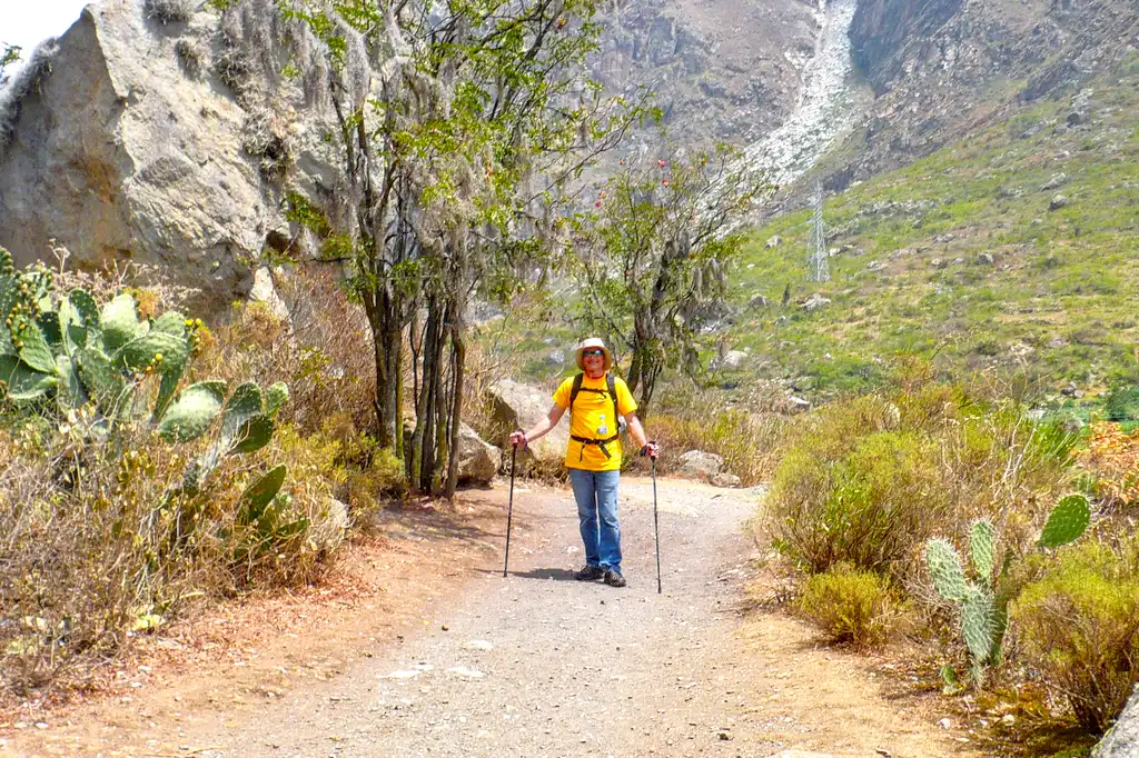 Hiker Trekking Cactus Scenery Inca Trail To Machu Picchu