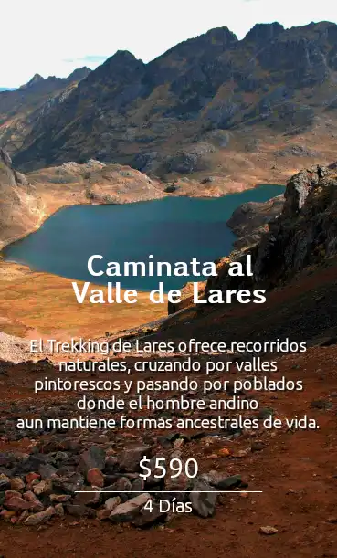 Lares Trekking Llamas